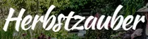Herbstzauber - Kassel