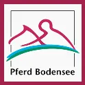Pferd Bodensee