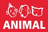 Animal宠物展