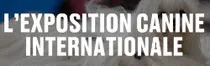 Exposition Canine Internationale de Genève