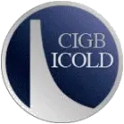 Icdsme—MY Icold水坝工程展