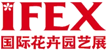 IFEX China