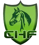CHF中国马术展上海