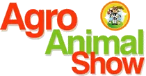 AGRO动物展