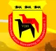 国际纯种犬展——奥芬堡