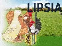Lipsia